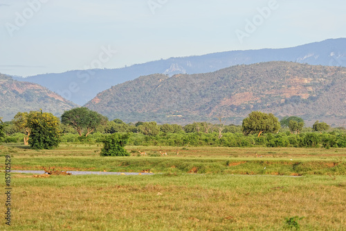Kenya landscape