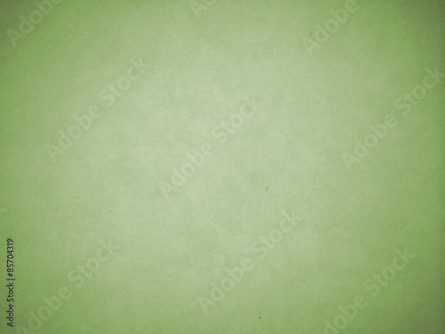 Vignette Green Background Texture as Frame with White Shade in The Middle