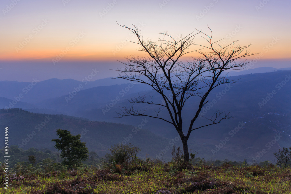 Scenic view of the winter mountains in sunset time. Scenic view of the winter mountains in sunset time.