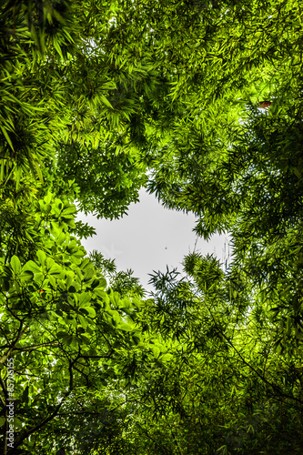 Photography yu garten