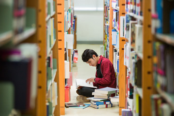 Students Asian read the book at the library