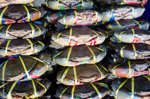 Red crab in Seafood market
