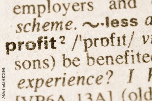 Dictionary definition of word profit