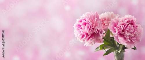 Fototapeta Naklejka Na Ścianę i Meble -  Three pink peony flower on light background