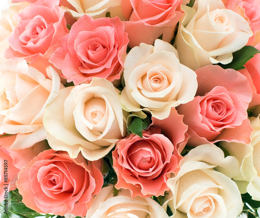 The texture of a plurality of of roses The texture of a plurality of of roses