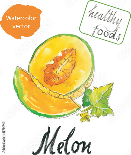 Watercolor melon
