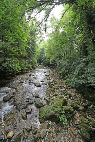 stream with fresh water in the middle of the Woods in spring