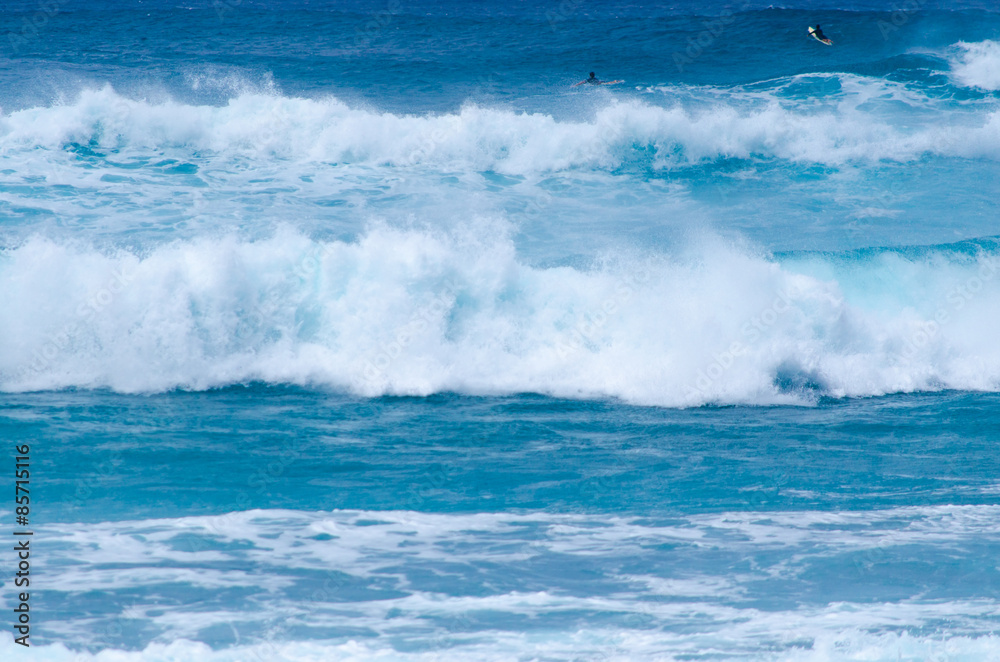 Obraz premium Wave and surfer