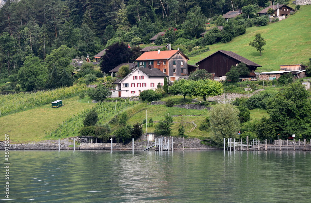 walensee...vignes