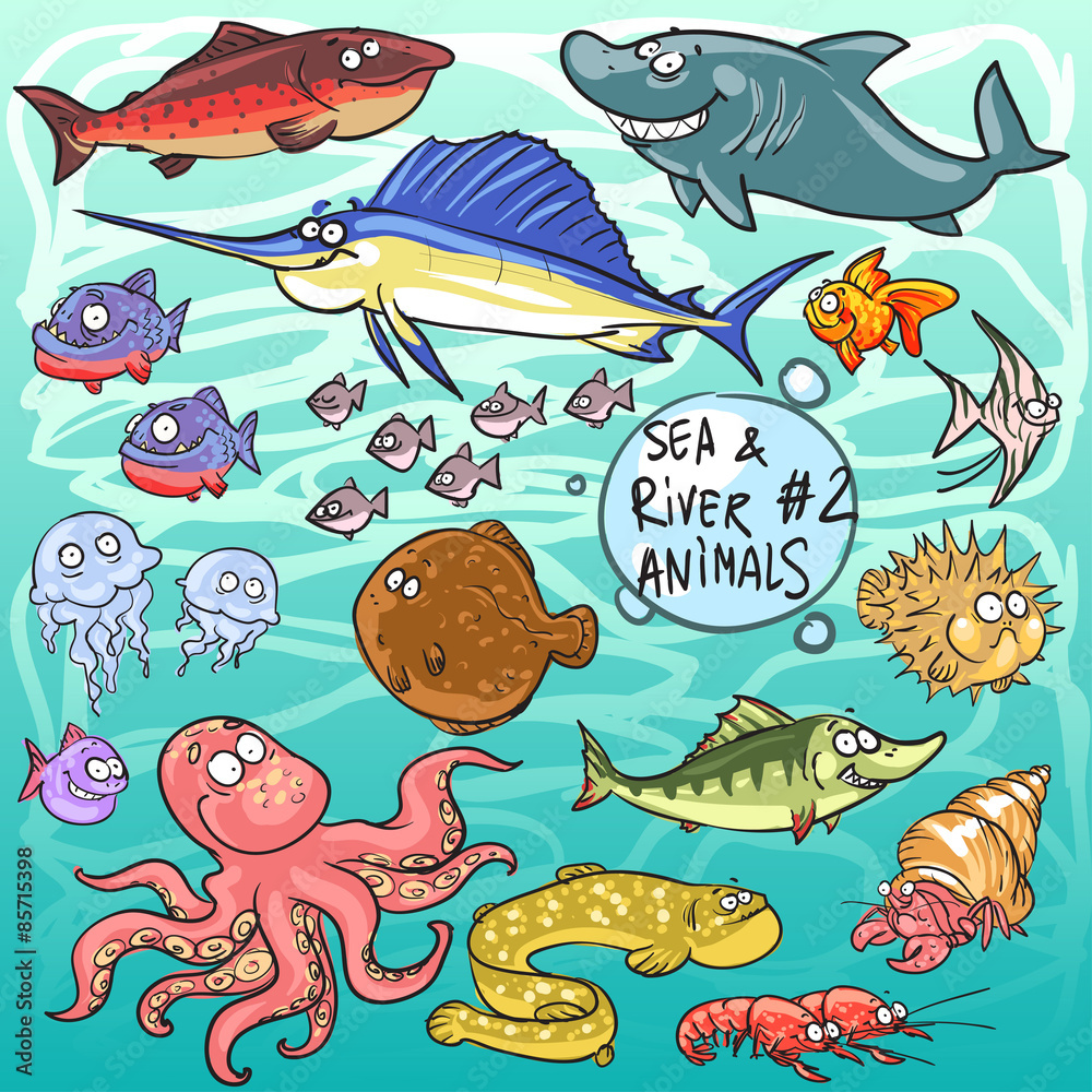 Sea and river animals - part 2 Sea and river animals - part 2