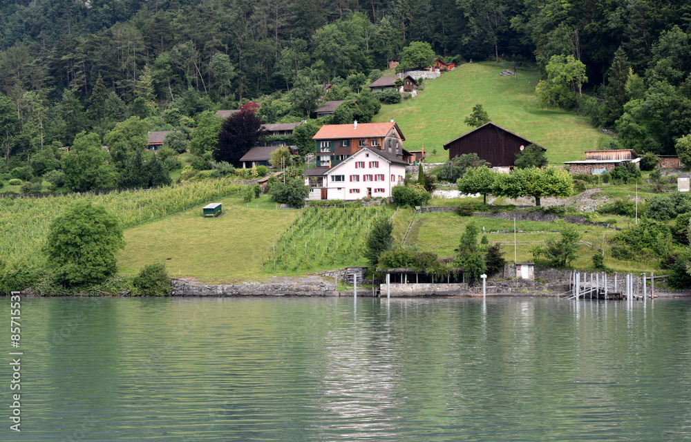 walensee...vignes walensee...vignes