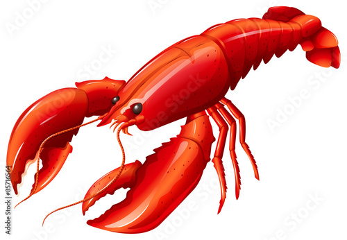 Canvas Print Lobster