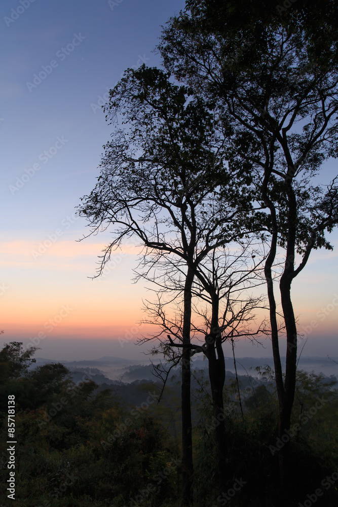 sunrise at misty forest and mountain in Nam Nao park Phetchabun sunrise at misty forest and mountain in Nam Nao park Phetchabun