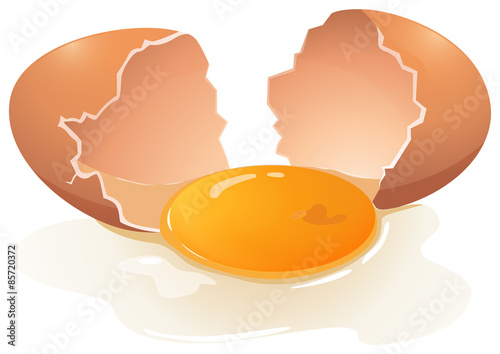 Egg yolk