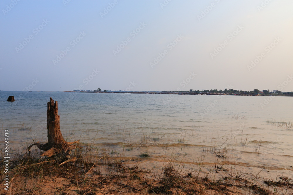 Fototapeta premium Rivers and grass