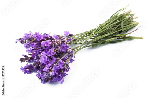 Lavender, Flower, Herbal Medicine.
