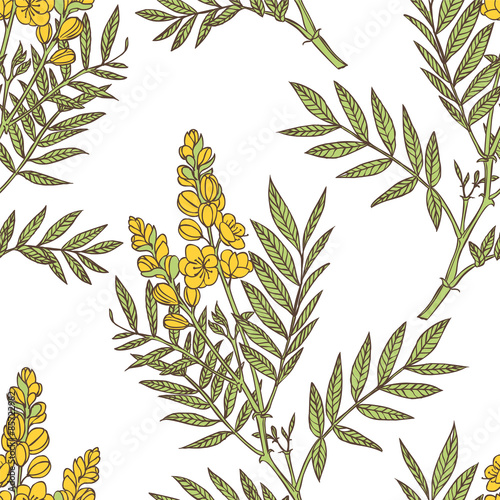 Fototapeta Naklejka Na Ścianę i Meble -  senna plant - vector seamless floral pattern