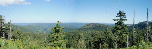 Landschaft im Schwarzwald/Panoramablick über Wälder, Berge und Täler, blauer Himmel
