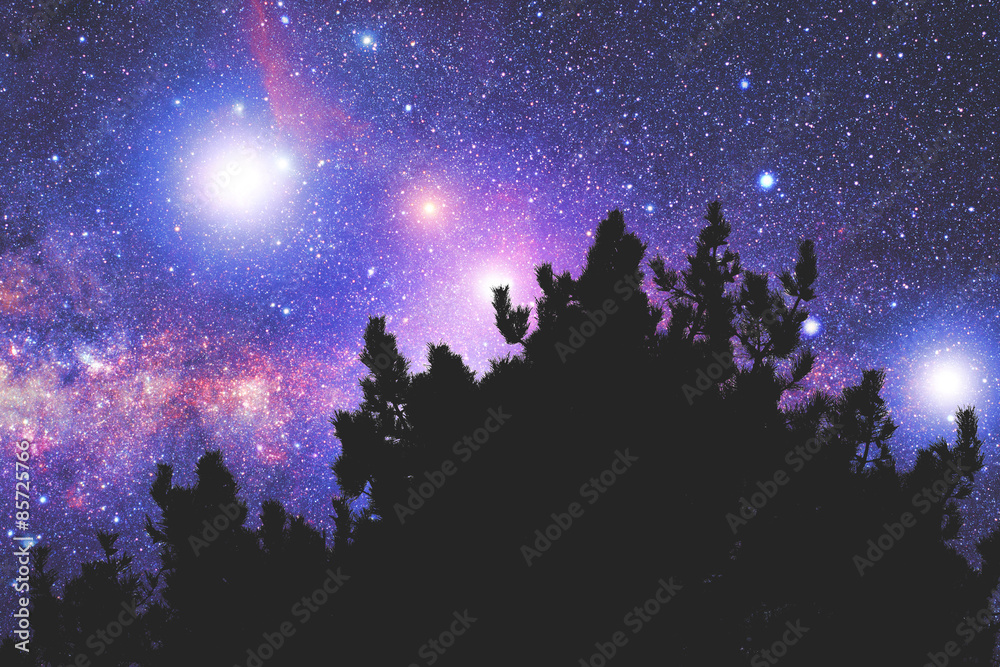 Starry night. Starry night.