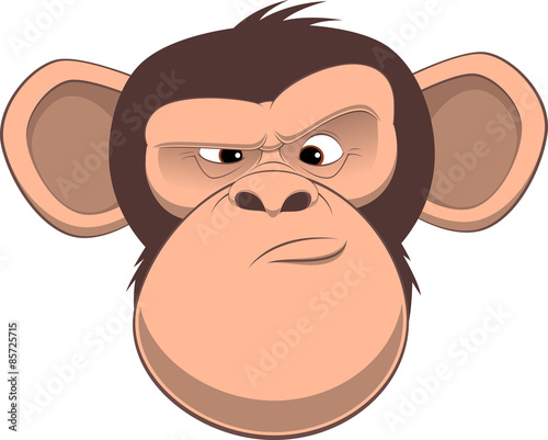 Happy monkey