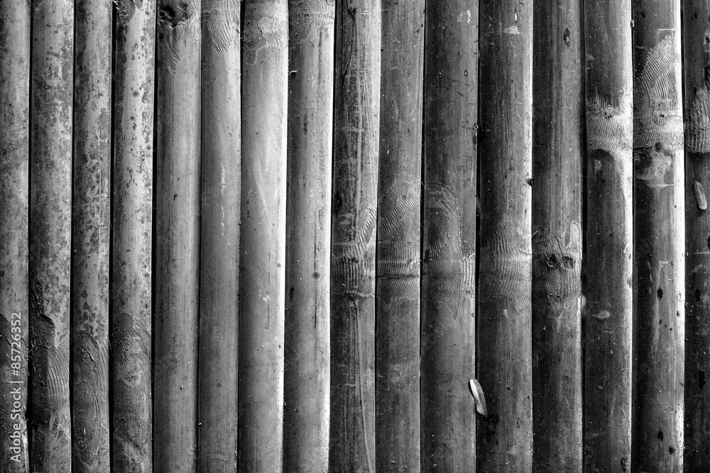 bamboo texture and background bamboo texture and background