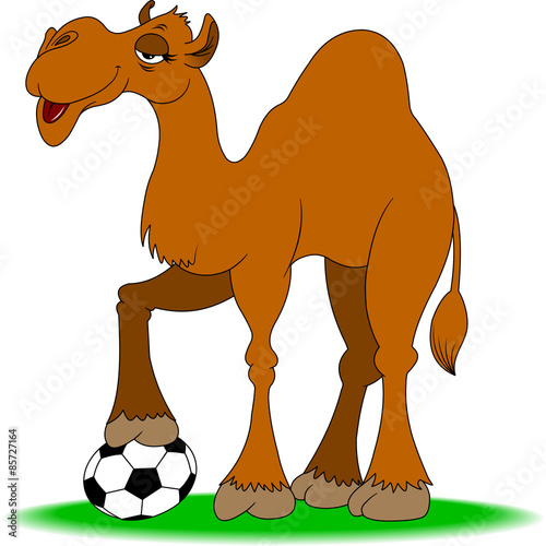 Camel and ball