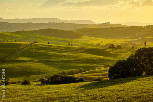 Tuscany, rural sunset landscape. Countryside farm, cypresses tre © ZoomTeam
