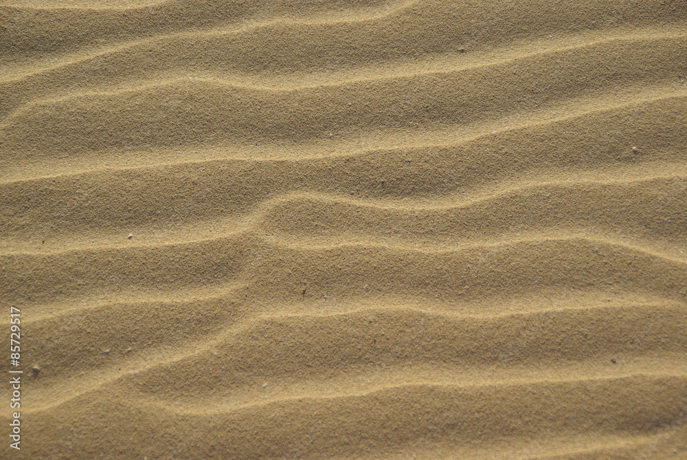Sand Sand