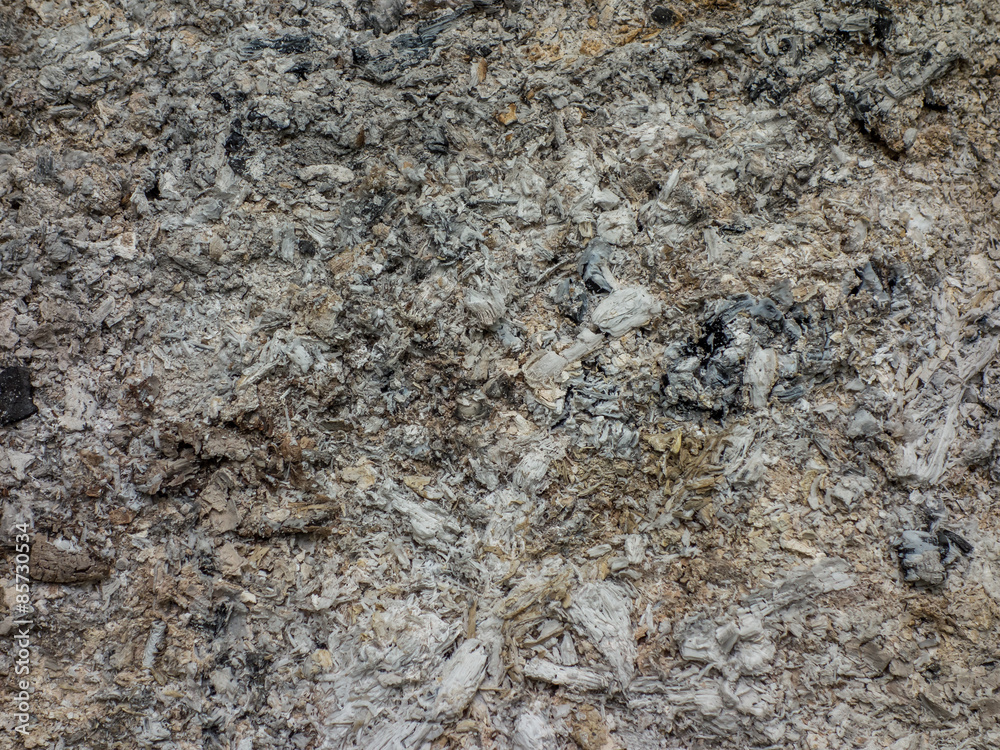 Naklejka premium Holzasche