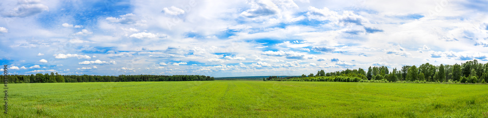 summer  landscape a panorama with a field ,  agriculture - obrazy, fototapety, plakaty 