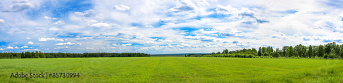 summer  landscape a panorama with a field ,  agriculture photo