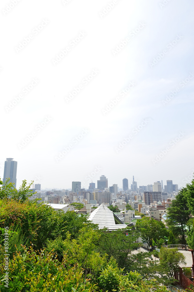 Obraz premium 神戸三宮の街並み