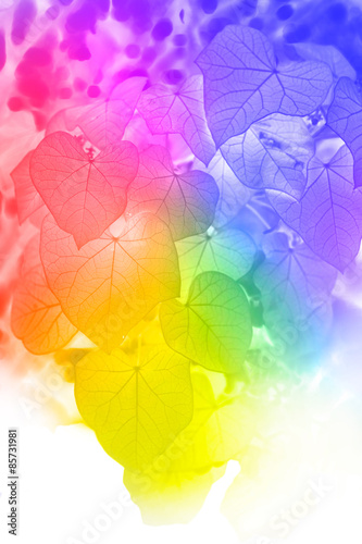 leaf made by color filter for background