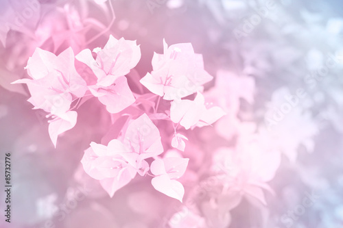 flower made by color filter for background