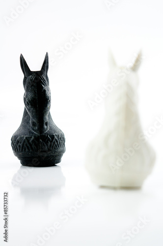 Black horse chess face white horse chess on white backgroud