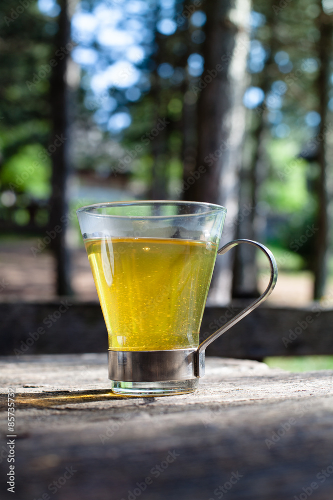 organic tea in forest organic tea in forest