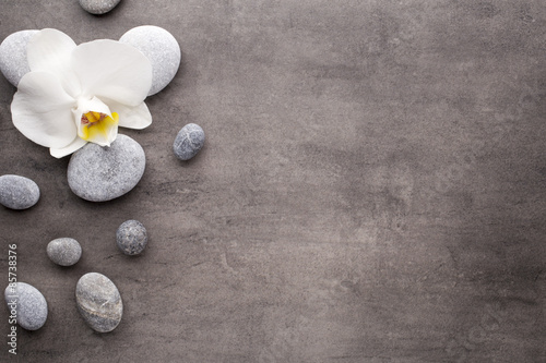 White orchid and spa stones on the grey background.