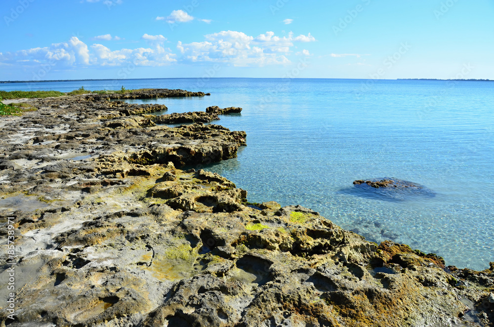 Sea beach on the Caribbean Sea