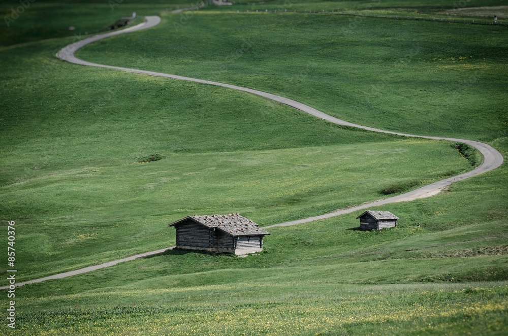 Strada nel verde sulle Dolomiti