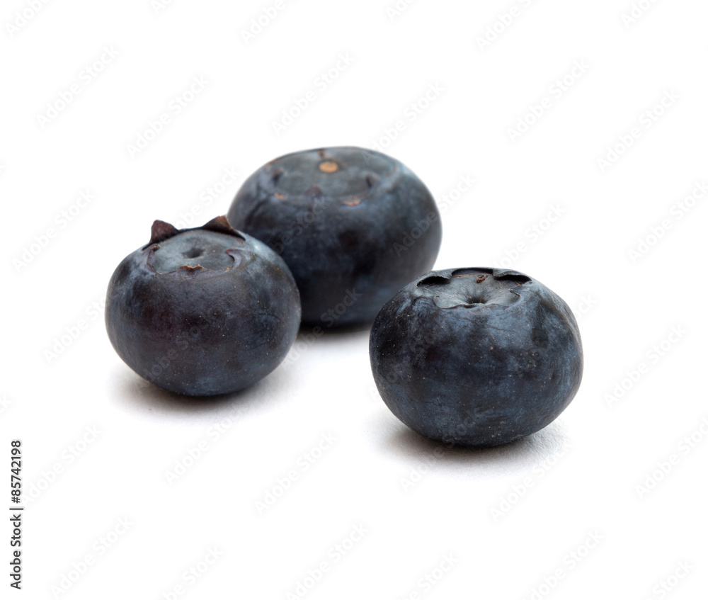 Blueberry isolated Blueberry isolated