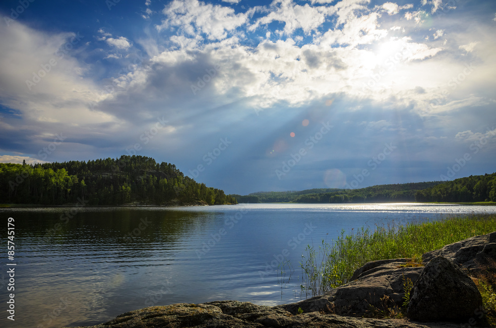 the lake and the forest