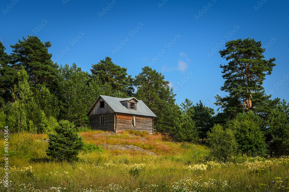 small log house on the hill