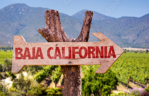 Baja California wooden sign with winery background