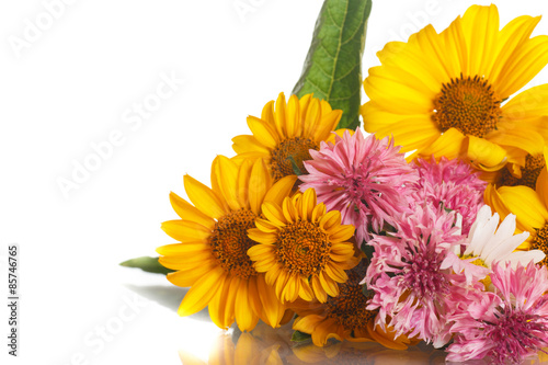 Fototapeta Naklejka Na Ścianę i Meble -  yellow daisy flowers