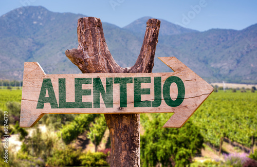 Alentejo wooden sign with winery background photo