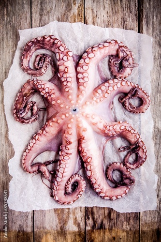 whole fresh raw octopus on a paper