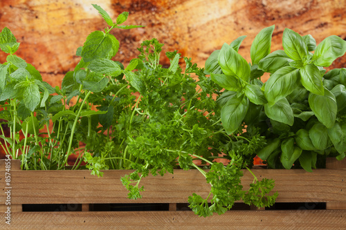 Windowsill planter with herbs