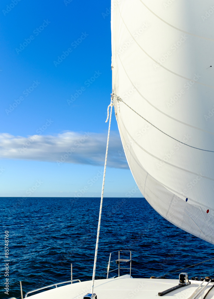 Fototapeta premium Sail Full of Wind under a blue sky on the ocean