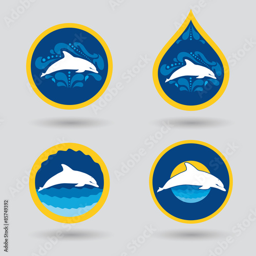 swimming or sport club logo with dolphin illustration