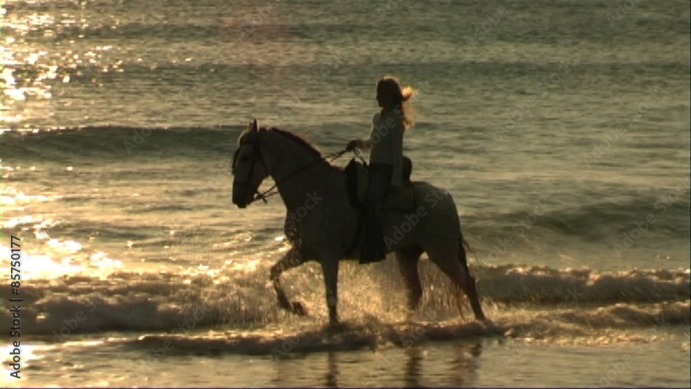 Woman on horse at seashore, riding through surf Woman on horse at seashore, riding through surf